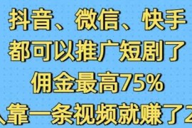 每天抖音微信快手都可以推广短剧了，佣金最高75%，有人靠一条视频就挣了2W01-17冒泡网