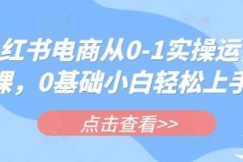 手机项目小红书电商从0-1实操运营课，0基础小白轻松上手03-15冒泡网