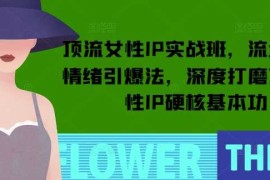 赚钱项目顶流女性IP实战班，流量上亿情绪引爆法，深度打磨顶流女性IP硬核基本功01-21冒泡网