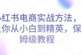 2024最新小红书电商实战方法，让你从小白到精英，保姆级教程01-06冒泡网