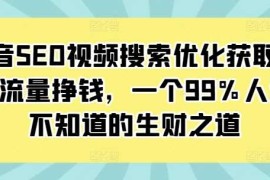 每日抖音SEO视频搜索优化获取免费流量挣钱，一个99%人还不知道的生财之道11-27冒泡网