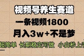 2024最新（13564期）视频号养生赛道，一条视频1800，超简单，长期稳定可做，月入3w+不是梦12-04中创网