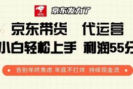 每天（13833期）京东带货代运营利润55分告别年终焦虑年底不打烊持续现金流12-27中创网