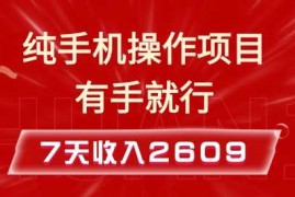 简单项目纯手机操作的小项目，有手就能做，7天收入2609+实操教程【揭秘】12-27冒泡网