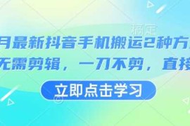 热门项目3月最新抖音手机搬运2种方法，无需剪辑，一刀不剪，直接搬03-19冒泡网