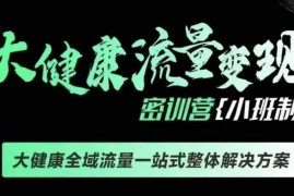 每日千万级大健康变现课线下课，大健康全域流量一站式整体解决方案12-21冒泡网