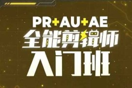 每天PR+AU+AE全能剪辑师入门班，剪辑入门必学课程11-24冒泡网