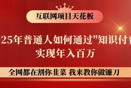 赚钱项目网创项目终点站-镰刀训练营超级IP合伙人，25年普通人如何通过“知识付费”年入百万03-15福缘网