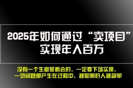 每日2025年如何通过“卖项目”实现年入百万11-25福缘网