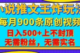 2025最新小说推文王炸玩法，一键代发，每月最多领900条原创视频，播放量收益日入5张，无需粉丝，无需实名【揭秘】01-23冒泡网