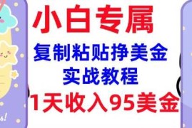 2025最新复制粘贴挣美金，0门槛，1天收入95美刀，3分钟学会，内部教程(首次公开)02-25冒泡网