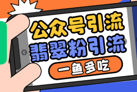 最新项目公众号低成本引流翡翠粉，高客单价，大力出奇迹一鱼多吃11-21福缘网