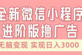 每日（13197期）全新微信小程序进阶版撸广告无脑变现睡后也有收入日入3000＋11-03