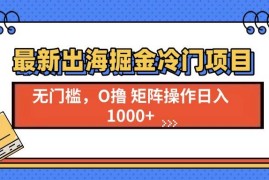 最新项目（13672期）最新出海掘金冷门项目，单号日入1000+12-15中创网