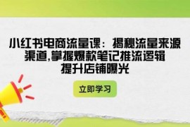 实战小红书电商流量课：揭秘流量来源渠道,掌握爆款笔记推流逻辑,提升店铺曝光02-25福缘网