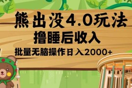 赚钱项目（13666期）熊出没4.0新玩法，软件加持，新手小白无脑矩阵操作，日入2000+12-15中创网