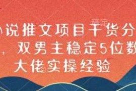 实战小说推文项目干货分享，双男主稳定5位数大佬实操经验01-02冒泡网