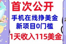 2025最新在线挣美金新项目，0门槛，1天收入115美刀，无脑操作，真正被动收入02-28冒泡网