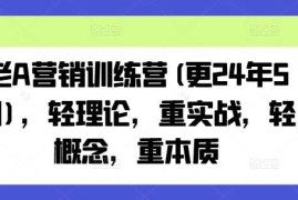 每日老A营销训练营(更24年12月)，轻理论，重实战，轻概念，重本质12-26冒泡网