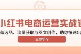 实战小红书变现运营实战课，涵盖选品、流量获取与图文创作，助你快速出单01-17福缘网