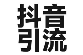 2025最新2025年抖音最新暴力引流法，只需一个视频加一段文字，简单操作，单日引300+创业粉03-16冒泡网