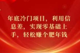 创业项目年底冷门项目，利用信息差，实现零基础上手，轻松赚个肥年钱【揭秘】12-21冒泡网