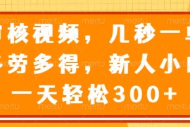 热门项目（14294期）审核视频，几秒一单，多劳多得，新人小白一天轻松300+02-24中创网