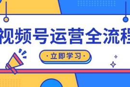 创业项目（13401期）视频号运营全流程：起号方法、直播流程、私域建设及自然流与付费流运营11-21中创网