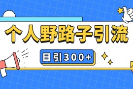 赚钱项目个人野路子引流日引300+精准客户，暴力截流玩法+克隆自热11-25福缘网