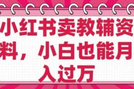 赚钱项目小红书卖教辅资料，0成本，纯利润，售后成本极低，小白也能月入过W02-27冒泡网