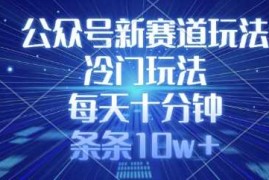 每天公众号新赛道玩法，冷门玩法，每天十分钟，条条10w+03-19冒泡网