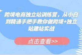 2024最新跨境电商独立站训练营，从小白到精通手把手教你做跨境+独立站建站实战11-29冒泡网