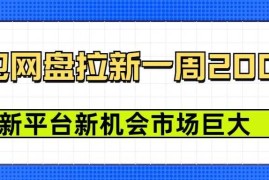 创业项目豆包网盘拉新，一周2k，新平台新机会01-09冒泡网