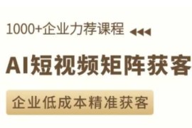 2024最新AI短视频矩阵获客实操课，企业低成本精准获客12-29冒泡网