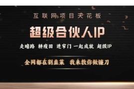 2024最新互联网项目天花板，超级合伙人IP，全网都在割韭菜，我来教你做镰刀【仅揭秘】01-04冒泡网