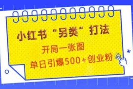 实战小红书“另类”打法，开局一张图，单日引爆500+精准创业粉【揭秘】12-26冒泡网