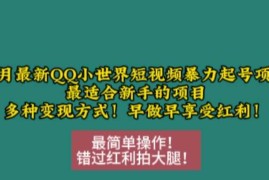 简单项目12月最新QQ小世界短视频暴力起号项目，最适合新手的项目，多种变现方式12-06冒泡网