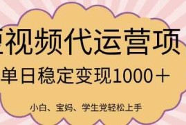 实战2025最新风口项目，短视频代运营日入多张【揭秘】03-02冒泡网