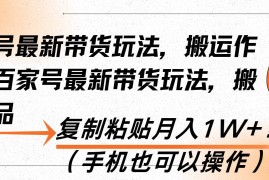 每天（13580期）百家号最新带货玩法，搬运作品，复制粘贴月入1W+！（手机也可以操作）12-05中创网