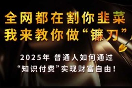 创业项目全网都在割你韭菜，我来教你做镰刀,2025普通人如何通过知识付费，实现财F自由【揭秘】03-04冒泡网