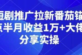 实战短剧推广拉新番茄锚点半月收益1万+大佬分享实操01-01冒泡网