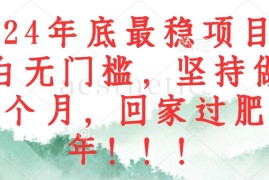 最新项目（12970期）2024年底最稳项目，小白无门槛，坚持做三个月，回家过肥年！！！10-15中创网