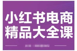 赚钱项目小红书电商精品大全课，快速掌握小红书运营技巧，实现精准引流与爆单目标，轻松玩转小红书电商(更新2月)02-22冒泡网