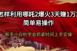 赚钱项目（14245期）怎样利用哪吒2爆火3天赚1万2简单易操作新手小白秒学会抓紧时间上手实操02-20中创网