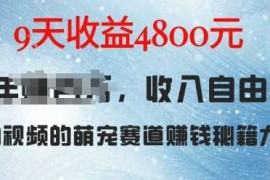 每日萌宠赛道赚钱秘籍：AI宠物兔视频详细拆解，9天收益4.8k12-09冒泡网