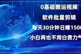 最新项目（13936期）0基础搬运视频，批量剪辑，每天30分钟日赚1500+，小白再也不用白费…01-07中创网