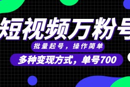 创业项目（13497期）短视频快速涨粉，批量起号，单号700，多种变现途径，可无限扩大来做。11-28中创网