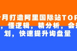 赚钱项目4个月打造阿里国际站TOP店铺，懂逻辑，精分析，会规划，快速提升询盘量02-21冒泡网