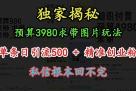 创业项目预算3980求带图片玩法，单条日引流500+精准创业粉，私信根本回不完12-06冒泡网