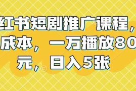 每天小红书短剧推广课程，0成本，一万播放80元，日入5张12-29冒泡网